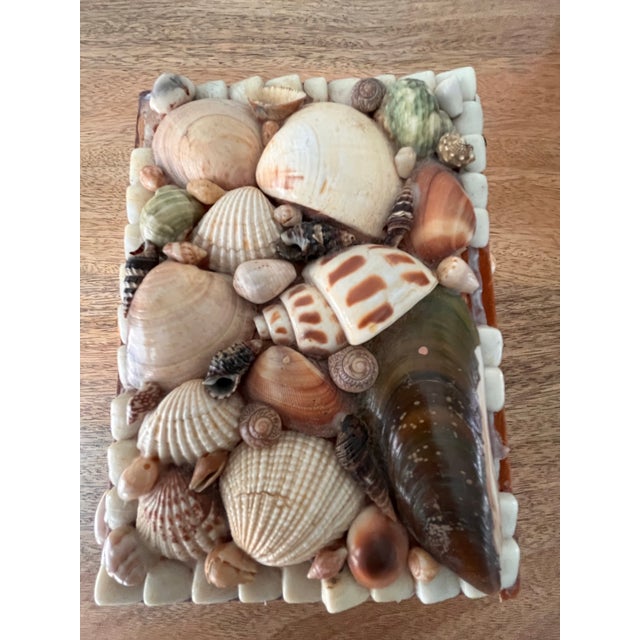 1970s Vintage Seashell Encrusted Box For Sale - Image 4 of 11
