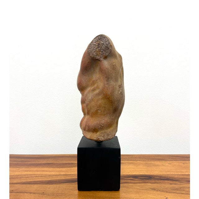 Stone Vintage Hand-Carved Stone Male Torso Sculpture Signed Alva, 1991 For Sale - Image 7 of 8
