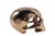 Gold Resin Skull from Richard Orlinski For Sale - Image 5 of 7