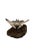 Gemstone Late 20th Century Nautical Stone Stingray Sculpture on Lava Rock, Signed & Numbered, 12.5"w For Sale - Image 7 of 11