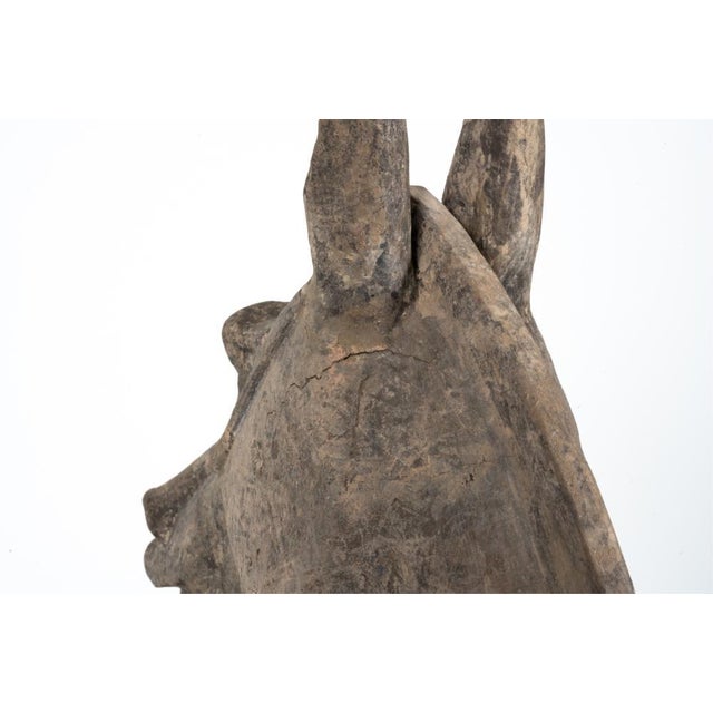 Ceramic Ancient Chinese Han Dynasty Monumental Mingqi Horse Terracotta Sculpture For Sale - Image 7 of 12
