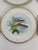 Victorian Late 19th Century French Limoges Charles Ahrenfeldt Fish Dinner Plates, Set of Six For Sale - Image 3 of 16
