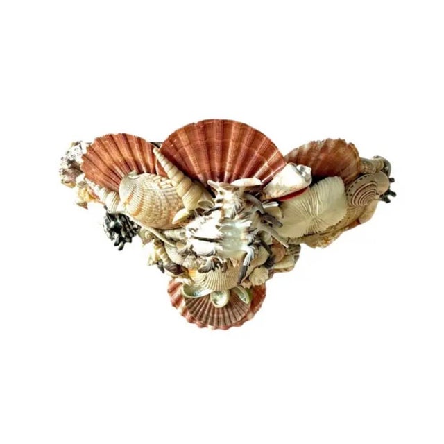 Vintage Pair of Shell-Encrusted Wall Sconces For Sale - Image 4 of 13