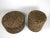 2pc MOOOI CORKS Cork Pedestals Stools. Two Sizes. Paper Label. JASPER MORRISON--