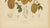 Sheep van Nooten, Star Fruit Botanical, 1880, Chromolithograph For Sale - Image 6 of 10