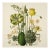 Vintage Botanical Garden Study No. 6 | Botanical Wall Art in Dark Green & Cream For Sale