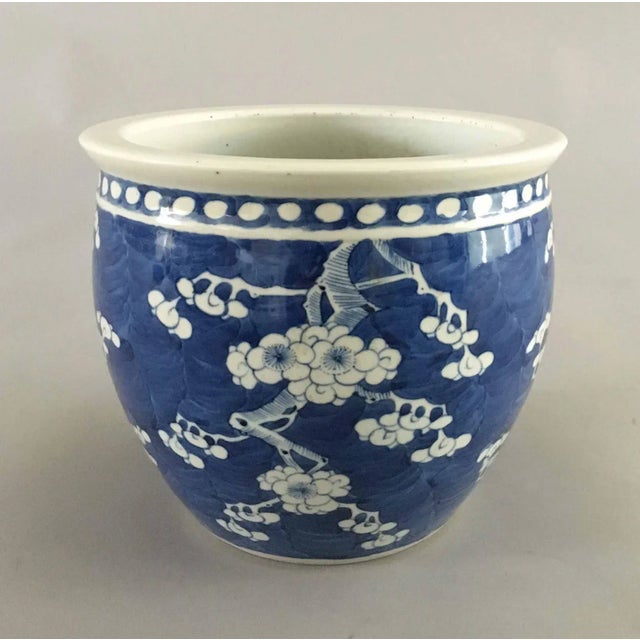 Chinese Export porcelain blue and white jardiniere decorated with prunus branches and blossoms, against a brilliant...