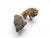 1980s Neapolitan Artist, Large Lions, 1980s, Patinated Bronze, Set of 2 For Sale - Image 5 of 11
