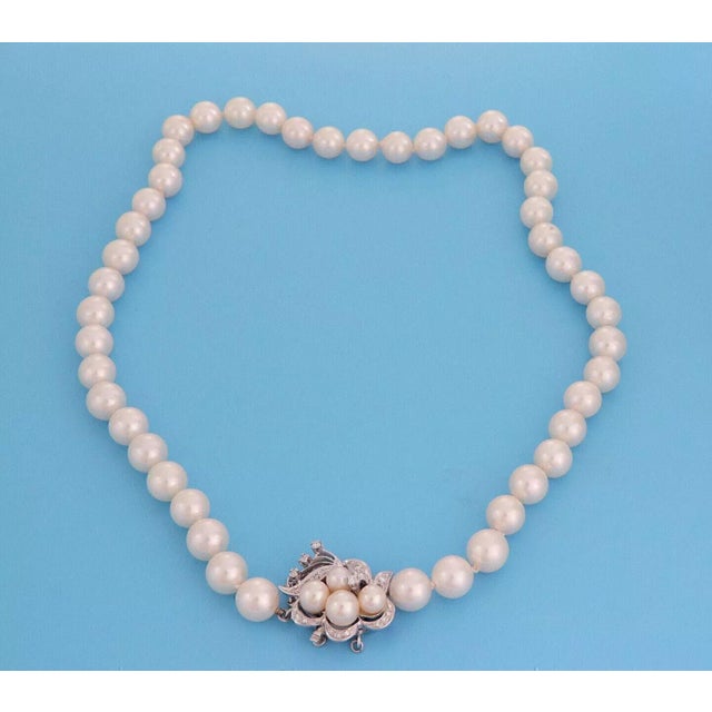 Diamond 14k White Gold Floral Clasp 8.8mm Pearl Necklace For Sale - Image 4 of 5