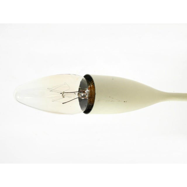 Large Mid-Century Modern Brass Sputnik Ceiling Lamp with 12 Arms, 1950s For Sale - Image 16 of 18
