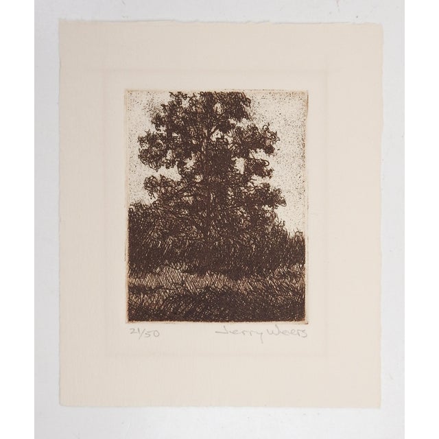 English Lone Oak Tree Etching by Jerry Weers For Sale - Image 3 of 3