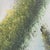 Tropical Scarlet Macaw Parrot Painting on Canvas - Signed For Sale In Tampa - Image 6 of 12