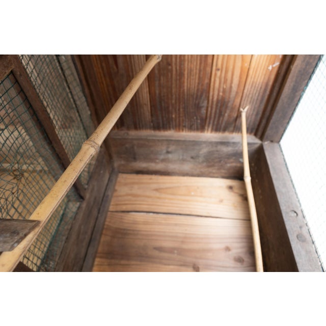 1950s Chestnut Aviary, France, 1950s For Sale - Image 5 of 9