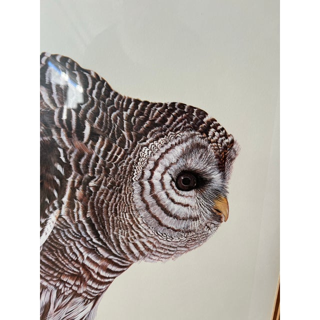 Owl Portraits of the World, Barred Owl Print, E. Darrell Smith Artist Proof For Sale - Image 4 of 12