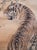 Fine Antique or Vintage Chinese Watercolor Scroll Painting of Tiger on His Daily Walk For Sale - Image 4 of 18