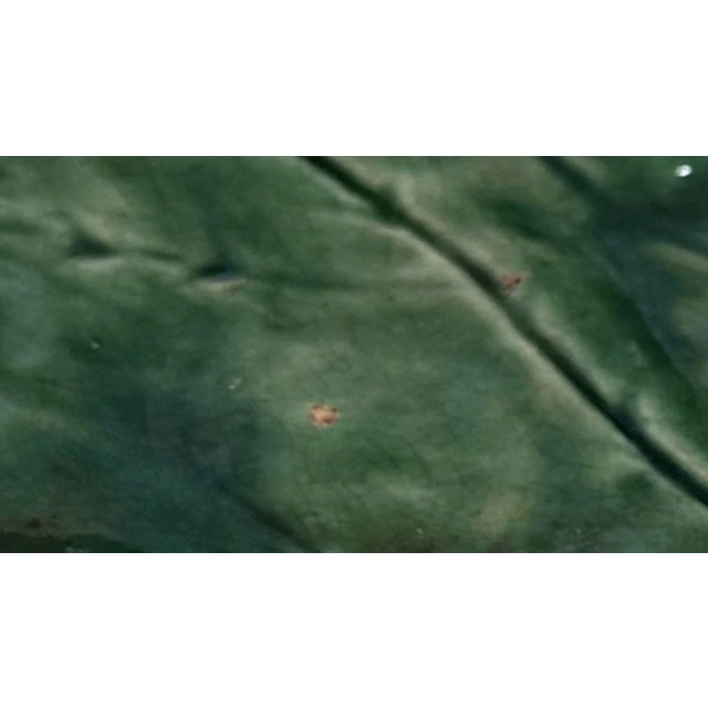 Ceramic Antique 19th C. Etruscan Majolica Begonia Leaf Platter - Griffen, Smith & Hill For Sale - Image 7 of 9