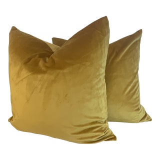 Calvin Klein Velvet Down Pillows in Mustard Amber - a Pair For Sale