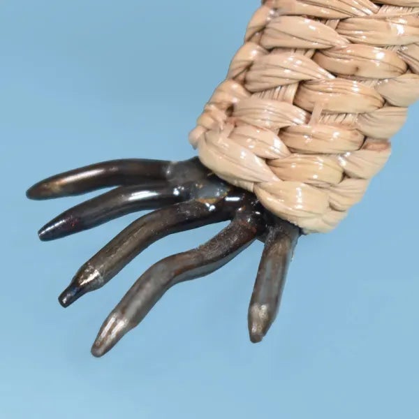 2020s Mario Lopez Torres Iguana For Sale - Image 5 of 8