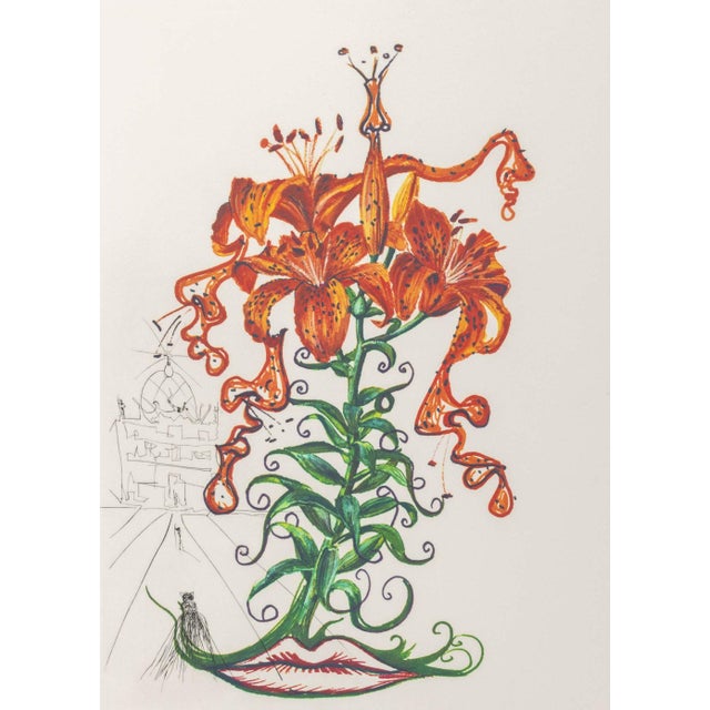 Salvador Dali (Spanish, 1904-1989), "Lilium Aurancacium et Labra Barocantia" [Orange Lily and Baroque Lips], Etching and...