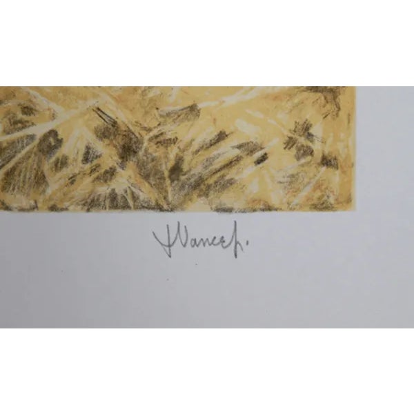 This lithograph, titled "Cape Buffalo," was created by Joseph Vance in 1978. It is edition AP and is signed and numbered...