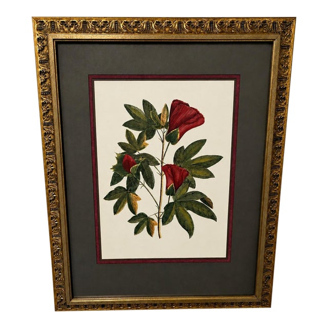 Vintage Framed "Jenna's Flowers Ii" Botanical Print by Decorative Arts, Inc. For Sale