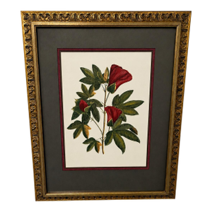 Vintage Framed "Jenna's Flowers Ii" Botanical Print by Decorative Arts, Inc.