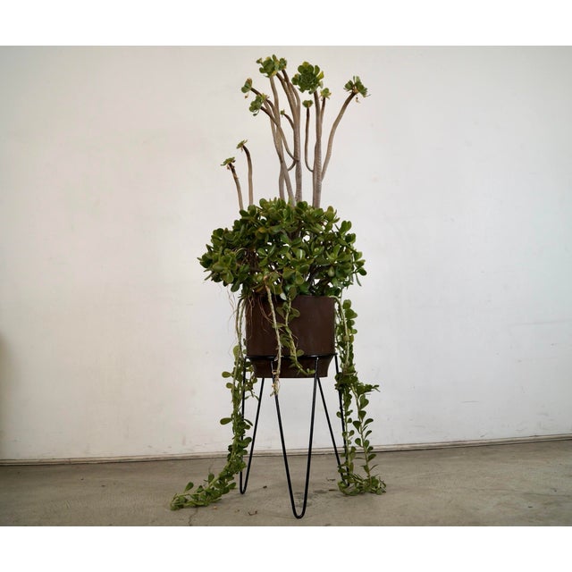 1950’s Mid-Century Modern Iron Hairpin Plant Stand For Sale - Image 10 of 10