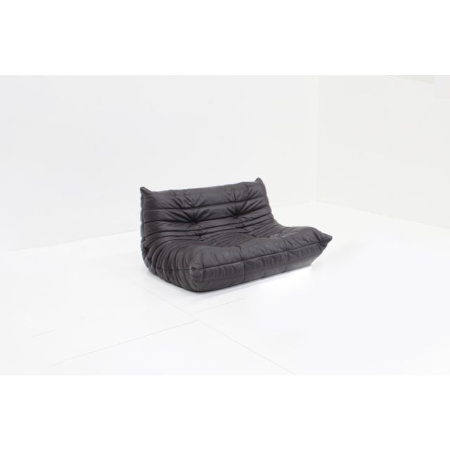 Animal Skin Togo Sofa in Brown Leather by Michel Ducaroy for Ligne Roset, 2010 For Sale - Image 7 of 11