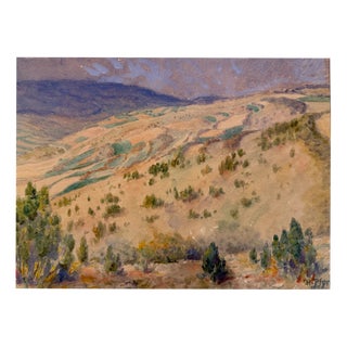 Heinrich Pforr, Juniper in the Gelster Valley, Kaufunger Forest, 1938, Watercolor For Sale