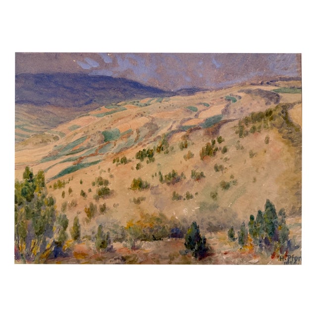 Heinrich Pforr, Juniper in the Gelster Valley, Kaufunger Forest, 1938, Watercolor For Sale