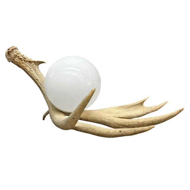 2020s Deer Antler Lamp For Sale - Image 5 of 12