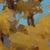 Contemporary Before the Fall by Judd Mercer | Oil On Panel Autumn tree with golden leaves against a blue sky. For Sale - Image 3 of 5