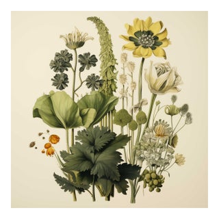 Vintage Botanical Garden Study No. 3 | Botanical Wall Art in Dark Green & Cream For Sale