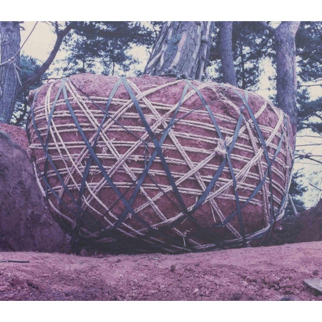 Jan Staller "Untitled (Boulder)", 1998 For Sale - Image 4 of 8