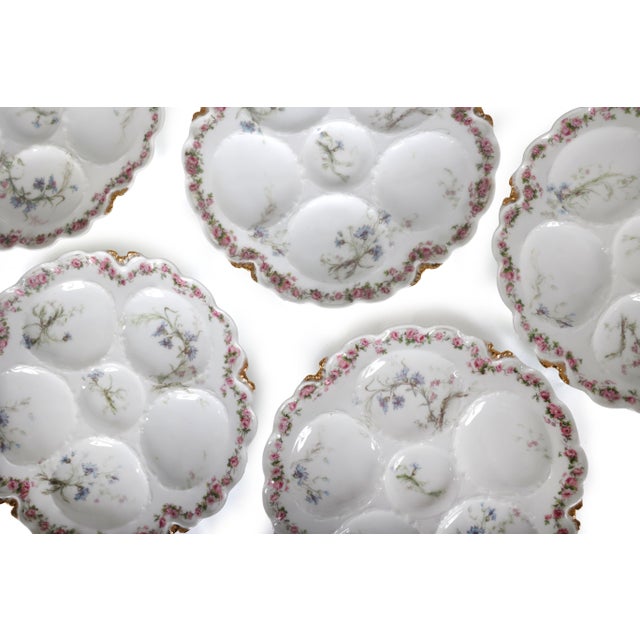 Antique Haviland & Co. Limoges Oyster Plates - Set of 6 For Sale - Image 10 of 14