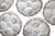 Antique Haviland & Co. Limoges Oyster Plates - Set of 6 For Sale - Image 10 of 14