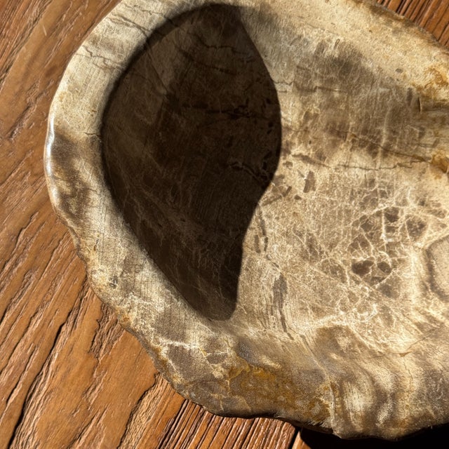 Oval Beige Petrified Wood Bowl, 1980s For Sale - Image 6 of 7