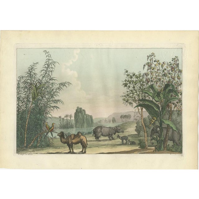 Chinese Landscape with Camel, Rhinoceros and Elephant, Antique Print 1815 : This finely composed early 19th-century hand-...