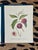 William Hooker Botanical Fruit Illustration Portfolio - 12 Piece Gallery Grid Set For Sale In Palm Springs - Image 6 of 8