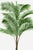 Tropical Palm Botanical, Vintage Art Print Reproduction, 16" X 24" For Sale In Buffalo - Image 6 of 10