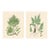 Botanical Ferns by Henry Bradbury- Plates 27 & 28 - Set of 2 For Sale