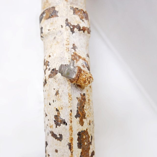 Victorian Cast Iron Radiator with Leafy Branches and Flowers, 1890s For Sale - Image 13 of 16