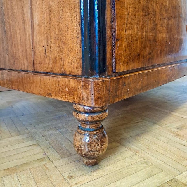 Vintage Biedermeier Chest of Drawers in Walnut, 1830s For Sale - Image 13 of 18