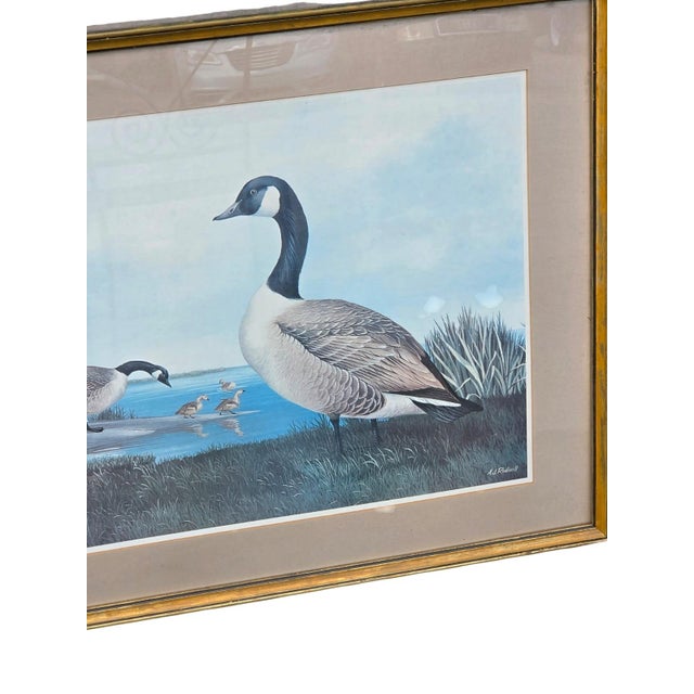 19th Century 19th Century Beautiful Decorative Painting of Goose Family/ Wood Frame and Glass Cover. For Sale - Image 5 of 14