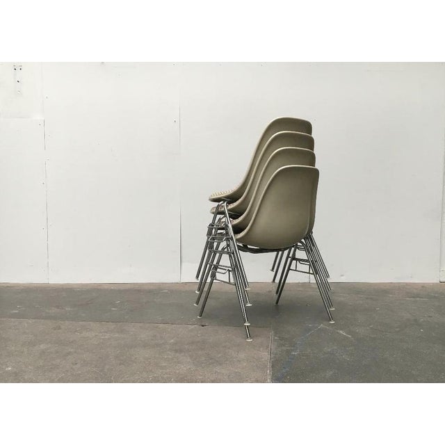 Mid-Century Fiberglass Side Stacking Chairs by Charles & Ray Eames with Chequered Pattern by Alexander Girard for Vitra, 1960s, Set of 4 For Sale - Image 16 of 18