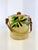 Vintage Japanese Majolica Fruit & Basket Weave Biscuit Jar With Rattan Handle For Sale In Little Rock - Image 6 of 13