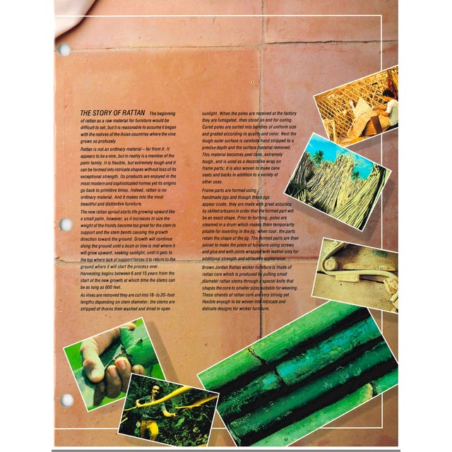 Designer Vintage Brown Jordan Rattan Dining Set W/ Double Pedestal Table, 4 Chairs, Glass Top For Sale - Image 17 of 18