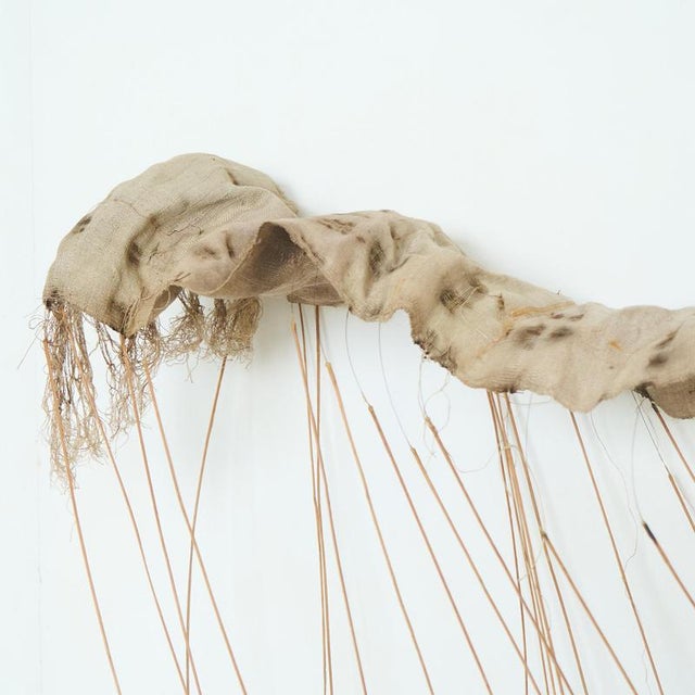 Lex Hogenhout, Spatial Weave / Shelter X, 1970s, Mixed Media Sculpture For Sale - Image 18 of 18