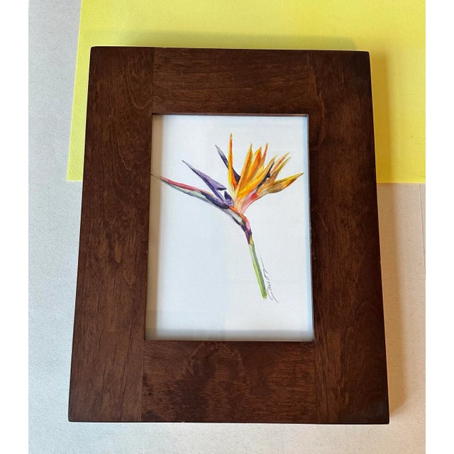 Watercolor Botanical of a bird of paradise. Signed and framed.