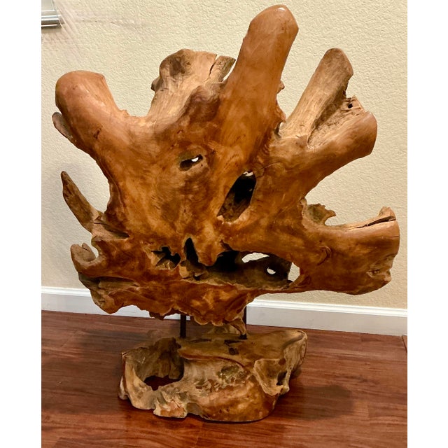 Organic Cyprus Root Sculpture - One of a Kind Statement Piece! For Sale - Image 9 of 12